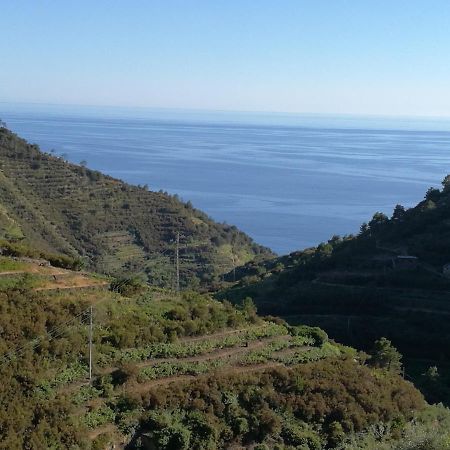 ☆ Terrace & Relax ☆ Casa Franceschin_ Homy 5 Terre Villa Riomaggiore Eksteriør bilde