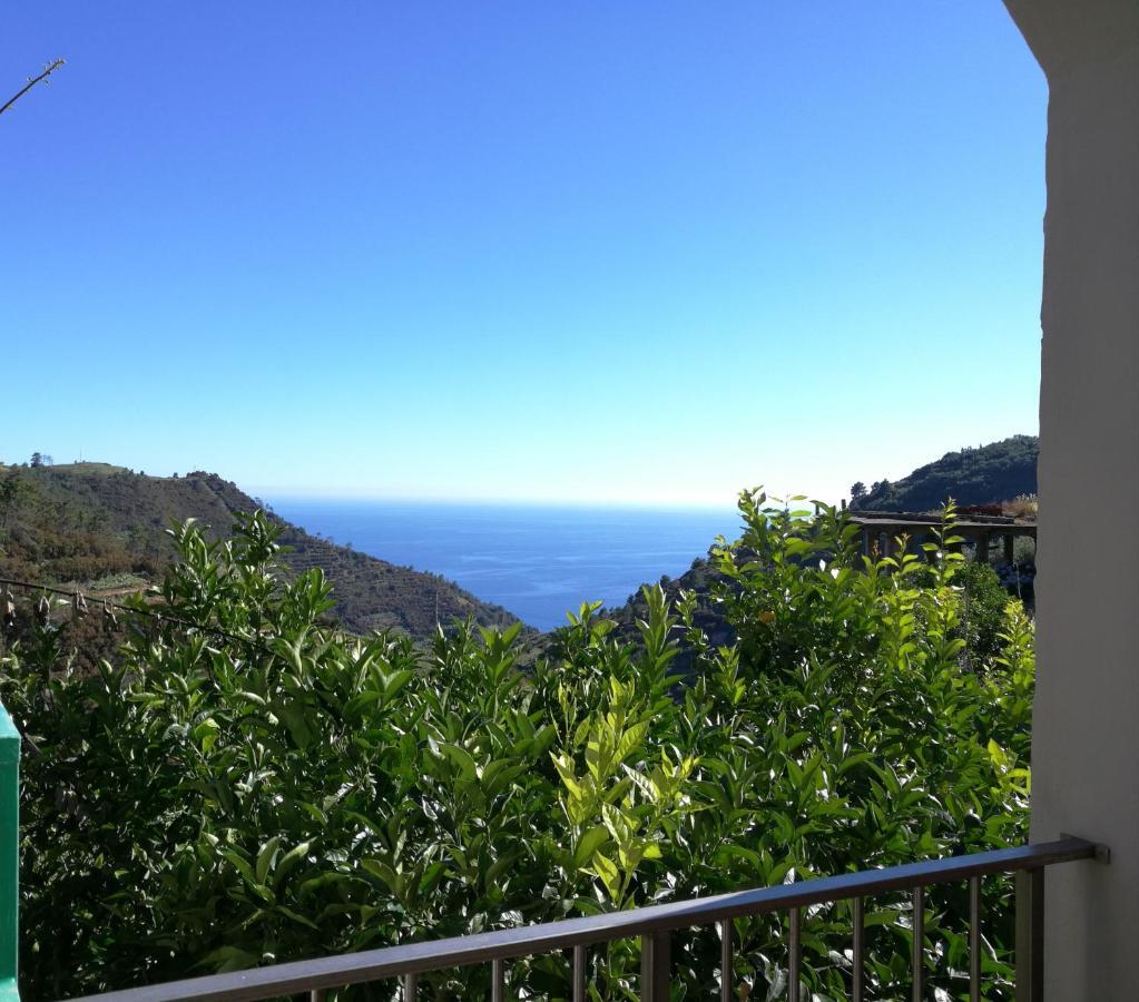 ☆ Terrace & Relax ☆ Casa Franceschin_ Homy 5 Terre Villa Riomaggiore Eksteriør bilde